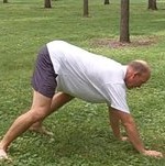 bear crawl exercise re-boot