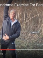 lower cross syndrome exercise